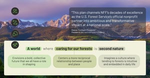 A world where caring for our forests is second nature
